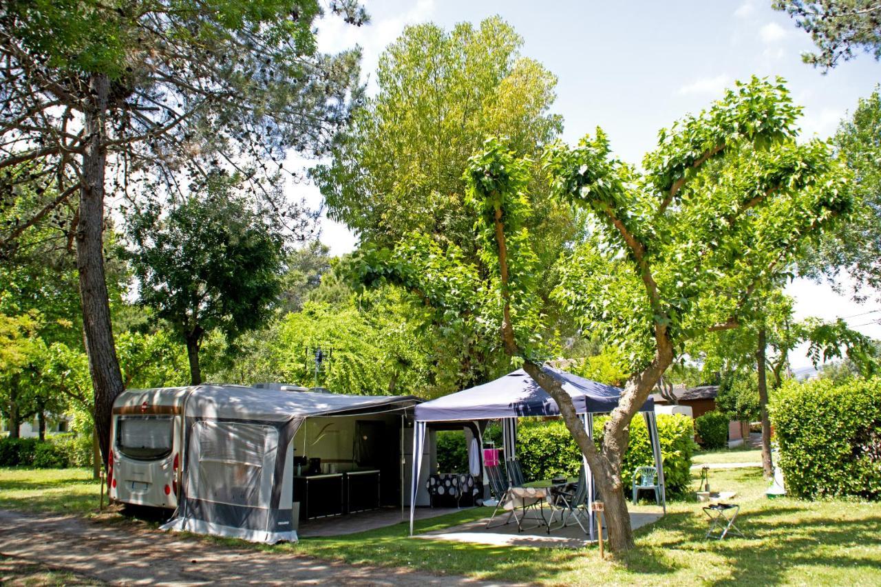 Camping Les Mimosas Hotel Pégomas Esterno foto